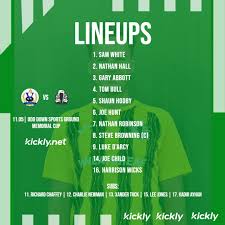 Image result for Wheatsheaf Heatherside Football Club