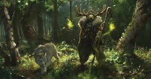Image result for druid