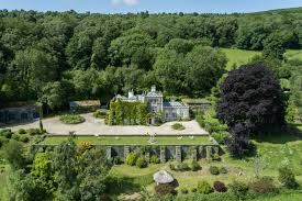 Image result for Newton Abbott Knights