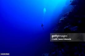Image result for Deep Blue Diving