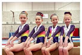 Image result for Burnley Gymnastics Club