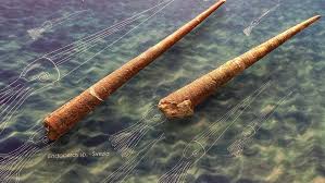 Attēlu rezultāti vaicājumam “Endoceras”