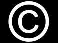 shockleewebpic_copyright.jpg