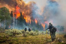 Image result for Hotshots