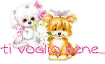 http://t0.gstatic.com/images?q=tbn:ANd9GcQaRiszC5w-Ev7Za2EJHm18YoHiLf7vKaLug3-hSQK8en1iaFHKKBOc9ofL