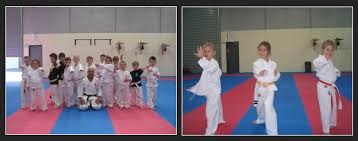 Image result for Chikara Dojo Of Kyokushin Karate