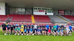 Image result for Shamrocks Hurling & Football Club