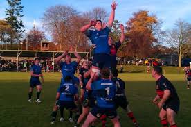 Image result for Mayfield Rugby League Football Club