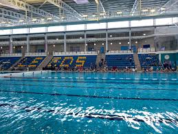 Image result for Orkney Octopush Club