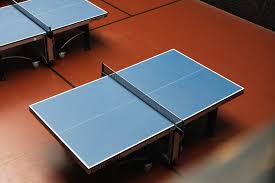 Image result for Wellington (Crowthorne) Badminton Club