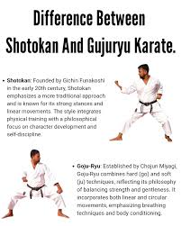 Image result for Junsui Shotokan Karate Do
