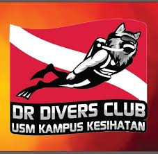 Image result for 3D Diving Club