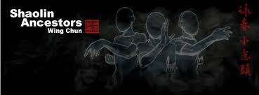 Image result for Shaolin Ancestors kung Fu School