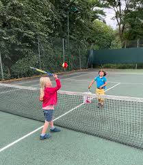 Image result for Wishel Lawn Tennis Club