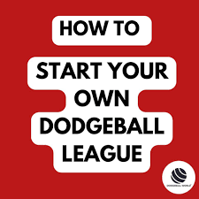 Image result for The Dodgeball Company