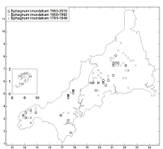 Attēlu rezultāti vaicājumam “Sphagnum inundatum”