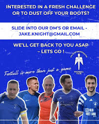 Image result for Old Wokingians Football Club