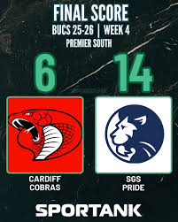 Image result for Cardiff Cobras