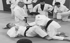 Image result for Halton Inclusive Judo Club