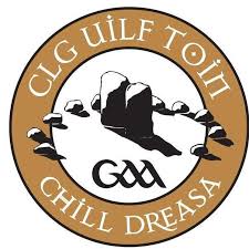 Image result for Wolfe Tones Gaelic Athletic Club