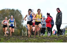Image result for Annadale Striders Ac