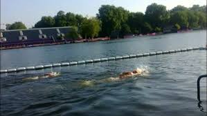 Image result for Serpentine Swimming Club