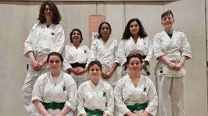 Image result for Harrow Shorinji Kempo