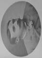 Gomulicki Wiktor