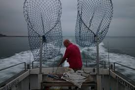 Image result for Weymouth Angling Society