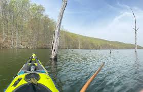 Image result for Ringwood Canoe Club