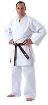 Image result for Kenshukai Karate