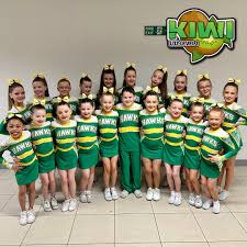 Image result for Hartlepool Hawks Cheerleading Academy