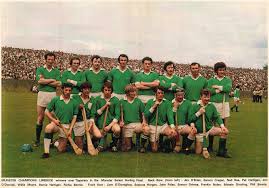 Image result for University Of Limerick Gaa Hurling Club