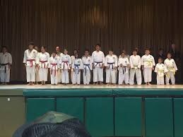 Image result for Carn Brea Karate Kai