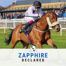 Image result for Elite Racing Club