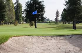 Image result for Belmont Scrabble Club