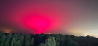 Afbeeldingsresultaat voor northern lights tomato