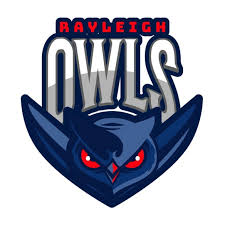 Image result for The Rayleigh Cricket Club