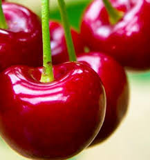 Attēlu rezultāti vaicājumam “Cerasus fruit”