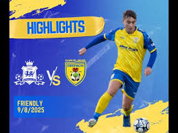 Image result for Ponthenri A F C