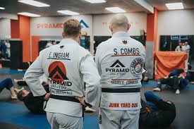 Image result for Pyramid martial arts