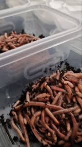 Image result for Crowthorne Angling