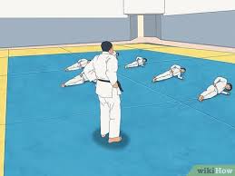 Image result for Phoenix Star Judo Club (Southwick)