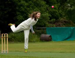 Image result for Elworth Cricket Club