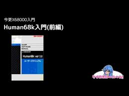 Image result for X68K TRIP割