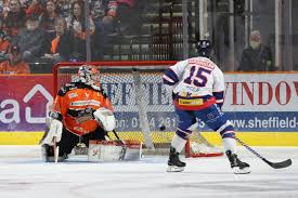 Image result for Sheffield Steelers