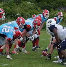 Image result for Frensham Football Club