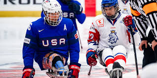 Image result for Ice Hockey International