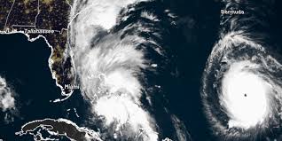 Image result for Halstead Cyclones