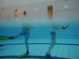 Image result for Croydon Wimbledon Octopush Club